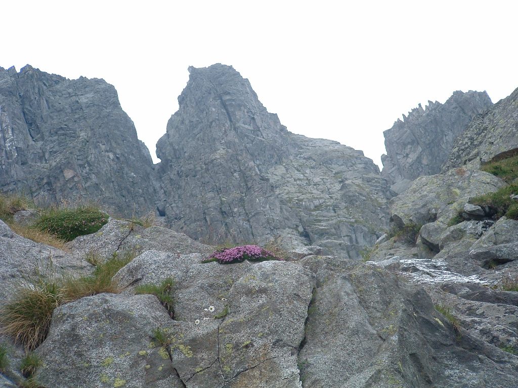 Itinerari per pochi (o quasi): monte Aviolo
